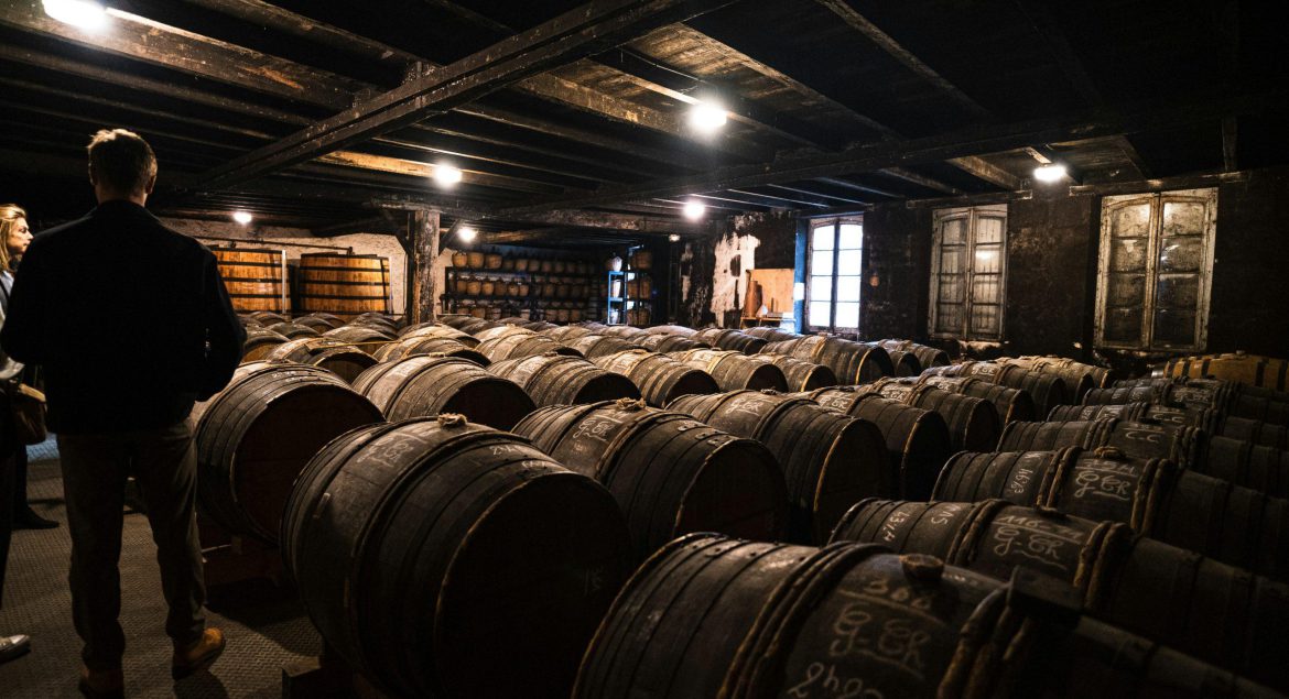 Wine Storage Tips: How to Keep Your Bottles at Their Best